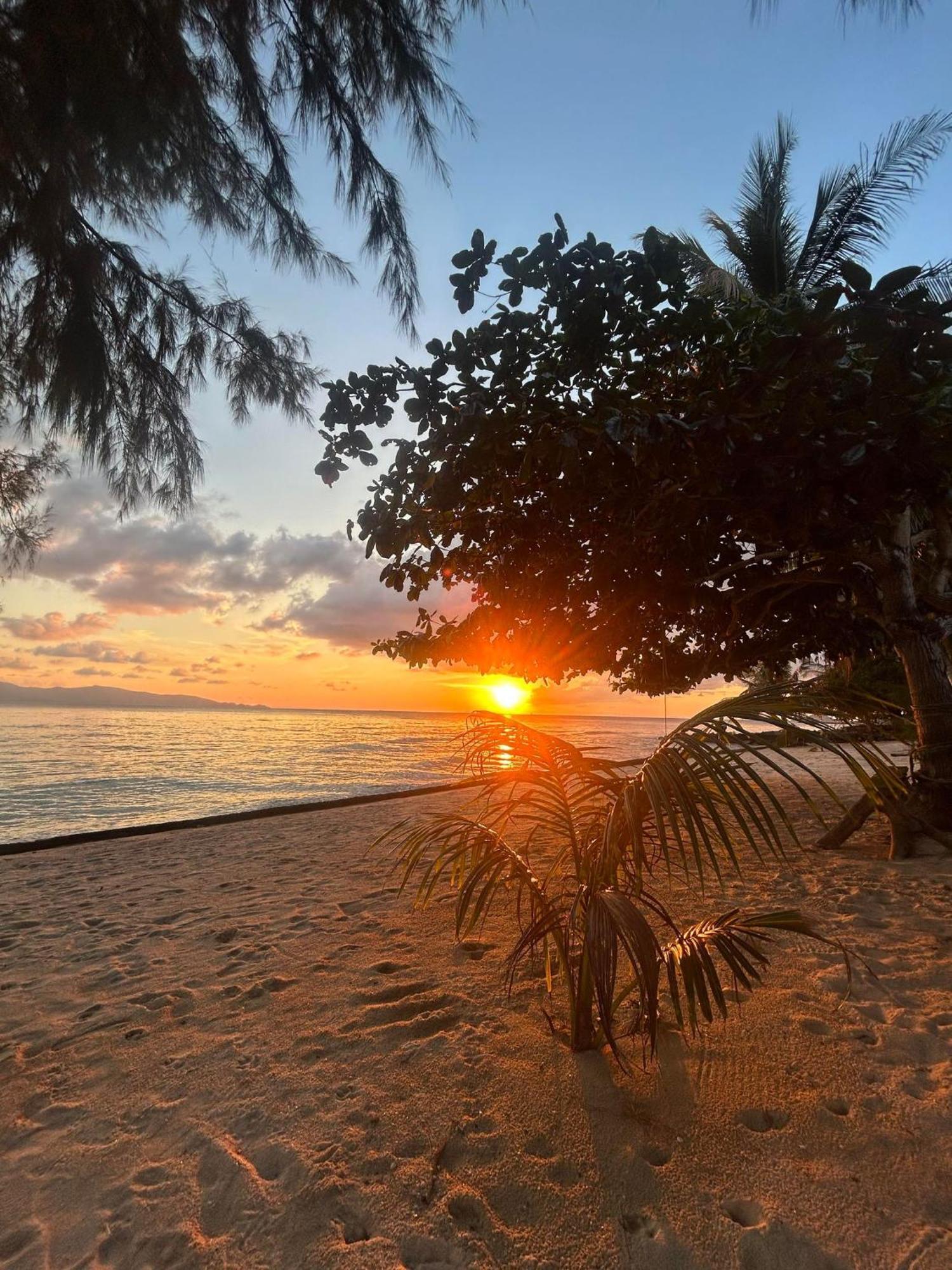 Pinks Bungalow Hotel Baan Tai Eksteriør billede